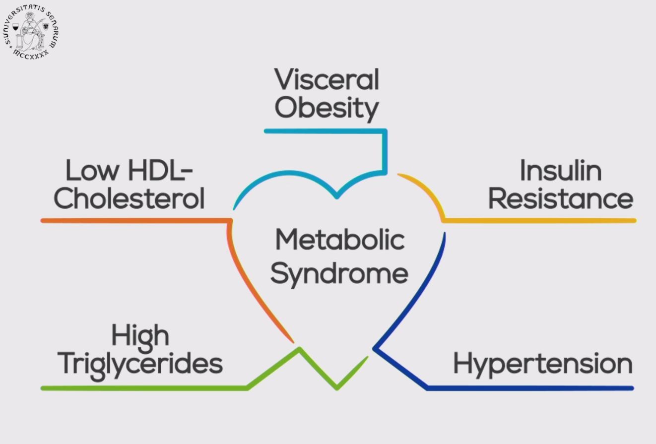 Sindrome metabolica: stili di vita e ormoni sessuali